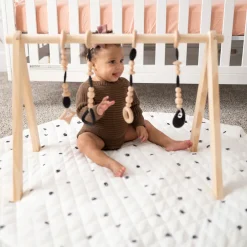 Play Gym Set