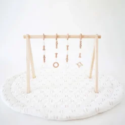 Play Gym Set