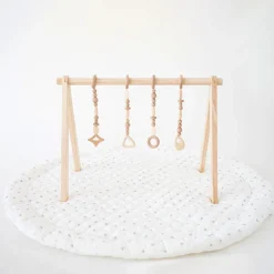Play Gym Set