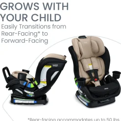 Poplar S Convertible Car Seat