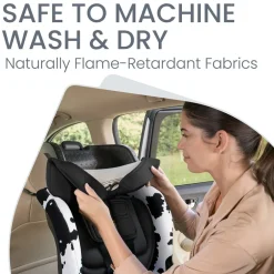 Poplar S Convertible Car Seat