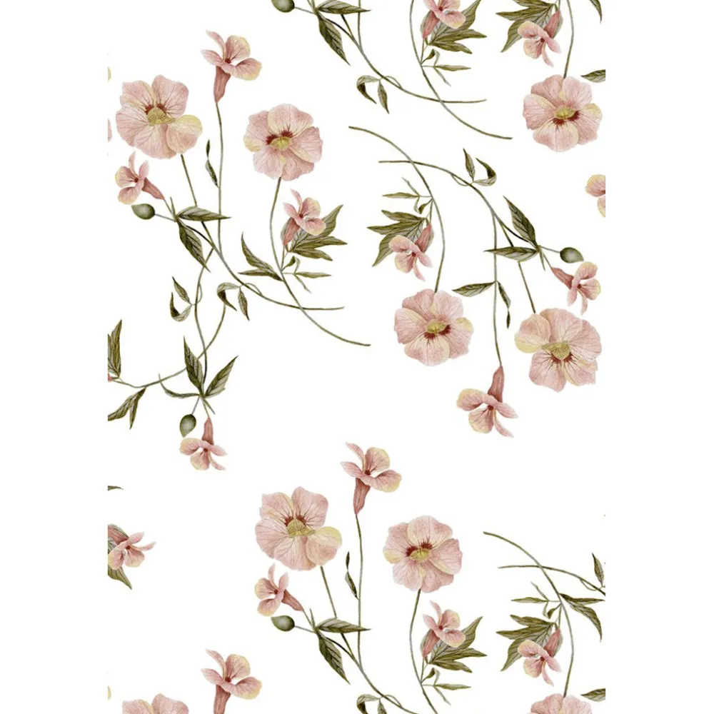 Primrose Wallpaper