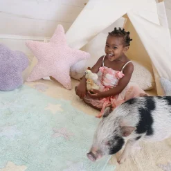 Star Washable Cushion