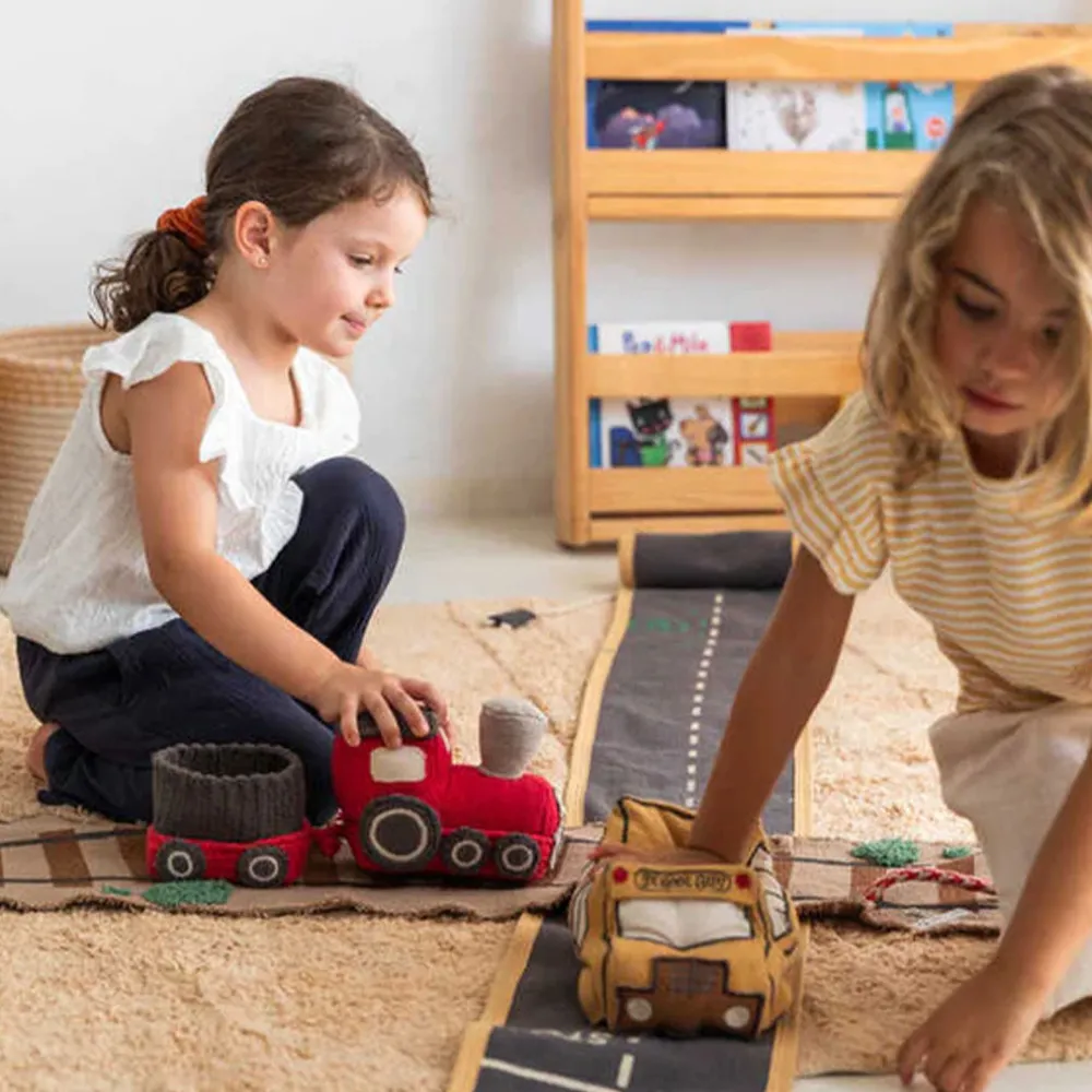 Train Ride & Roll Soft Toy