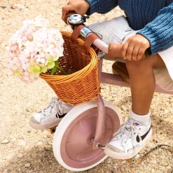 Trike