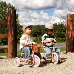 Trike