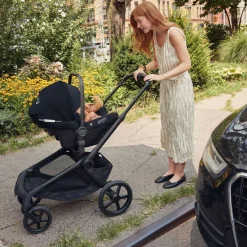 Turtle Air Shield by Nuna Car Seat
