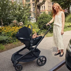 Turtle Air Shield by Nuna Car Seat