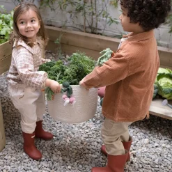 Veggies Basket
