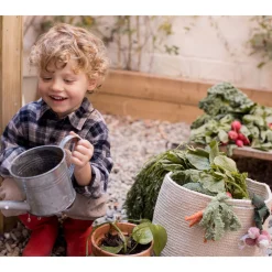 Veggies Basket