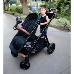 Ventura Single to Double Sit-and-Stand Stroller