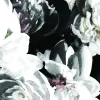 Vintage Peonies Wallpaper