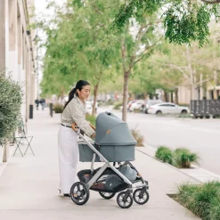 Vista V3 Stroller
