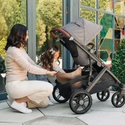 Vista V3 Stroller