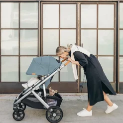 Vista V3 Stroller