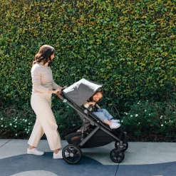 Vista V3 Stroller