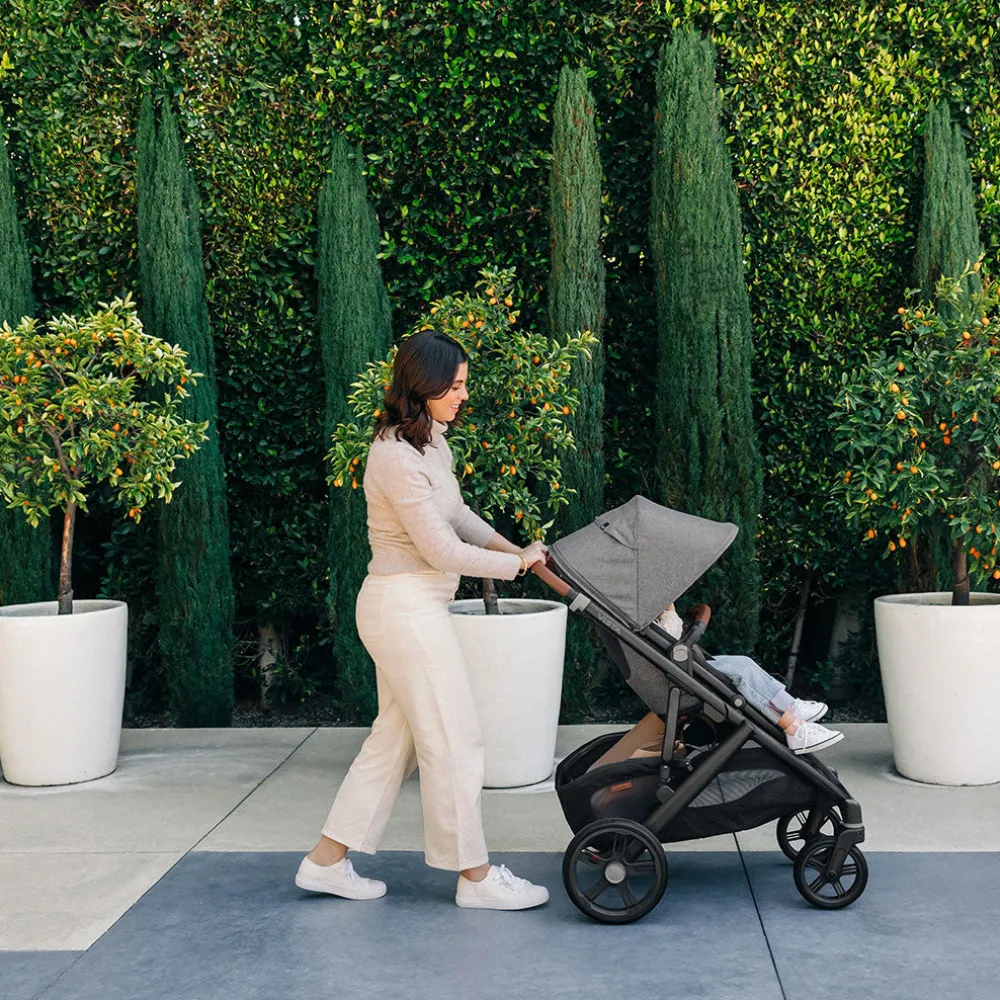 Vista V3 Stroller + PiggyBack Bundle