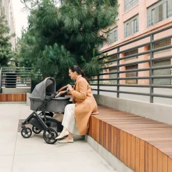 Vista V3 Stroller + PiggyBack Bundle