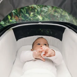 Vista V3 Stroller + Travel Bag Bundle