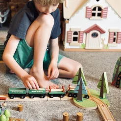 Wild Pines Train Set
