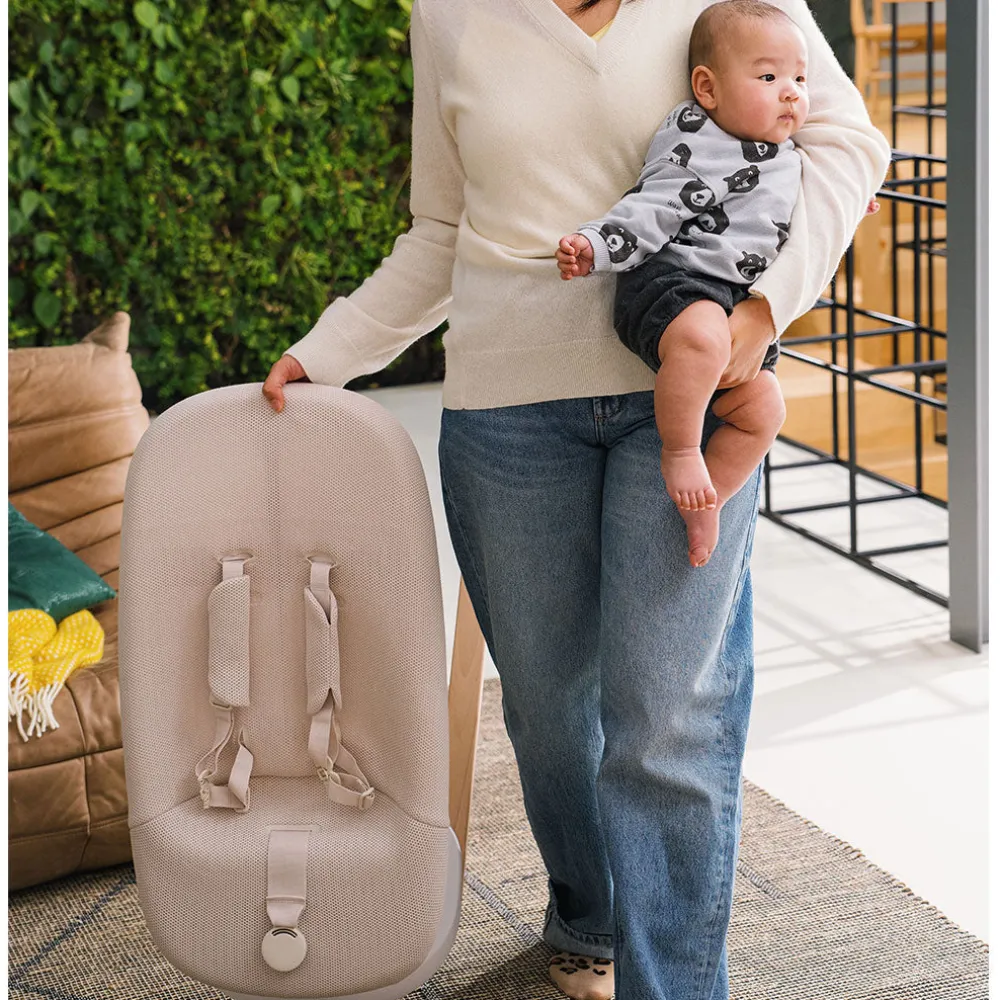 Yoga Bouncer & Swing