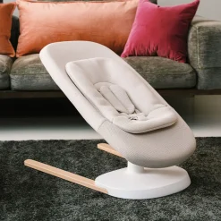 Yoga Bouncer & Swing