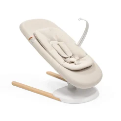 Yoga Bouncer & Swing