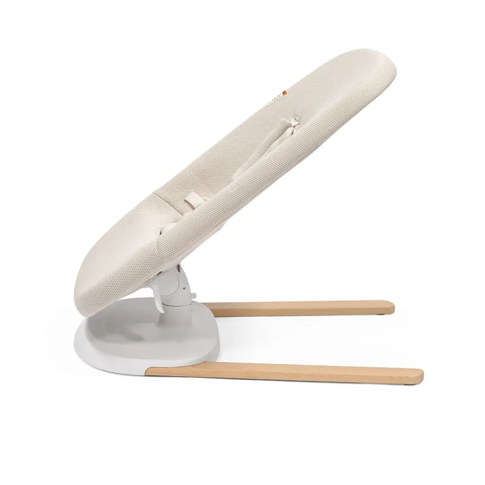 Yoga Bouncer & Swing