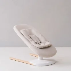 Yoga Bouncer & Swing