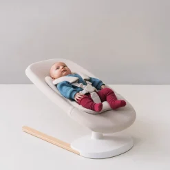Yoga Bouncer & Swing