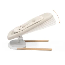 Yoga Bouncer & Swing