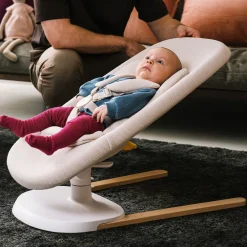 Yoga Bouncer & Swing