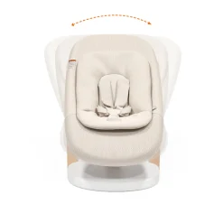 Yoga Bouncer & Swing