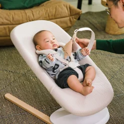 Yoga Bouncer & Swing