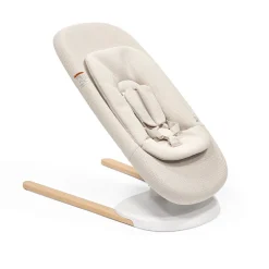 Yoga Bouncer & Swing