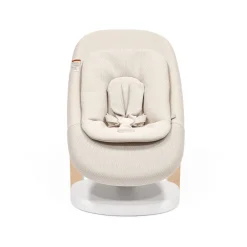Yoga Bouncer & Swing
